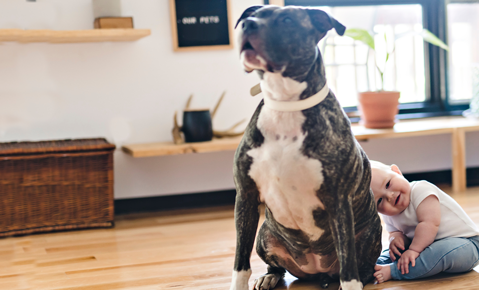 Naissance d'un enfant : démarches et assurance pour une arrivée sereine ...