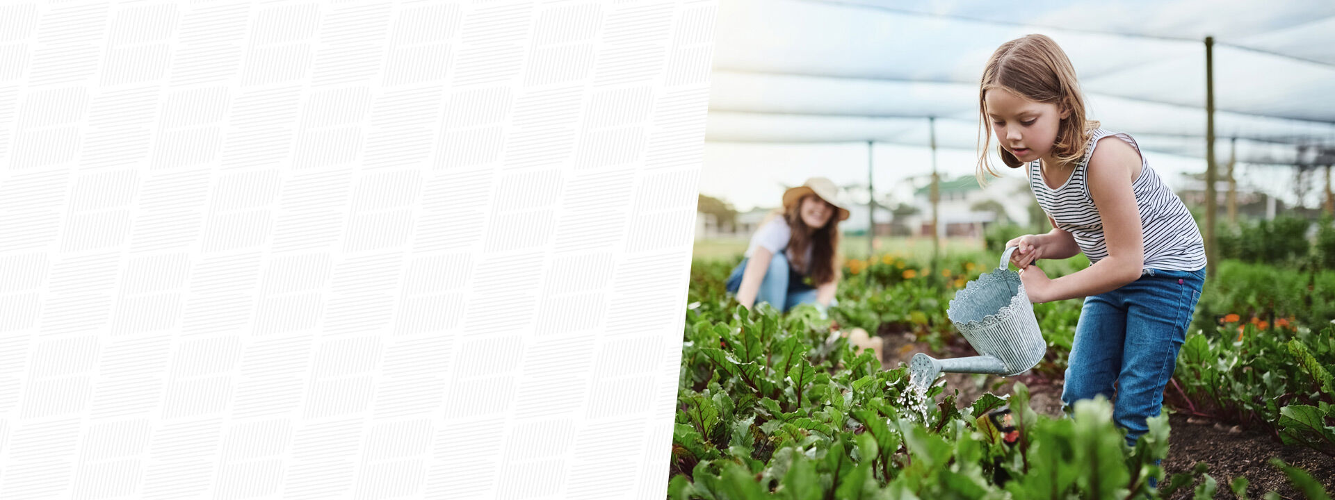 serre enfant m&egrave;re champ arrosage plante
