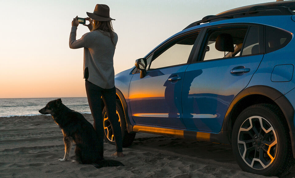 femme chien voiture plage