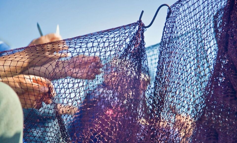 P&ecirc;che travail