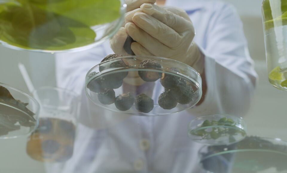 laboratoire maritime