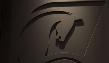 Logo Banque Palatine noir en relief