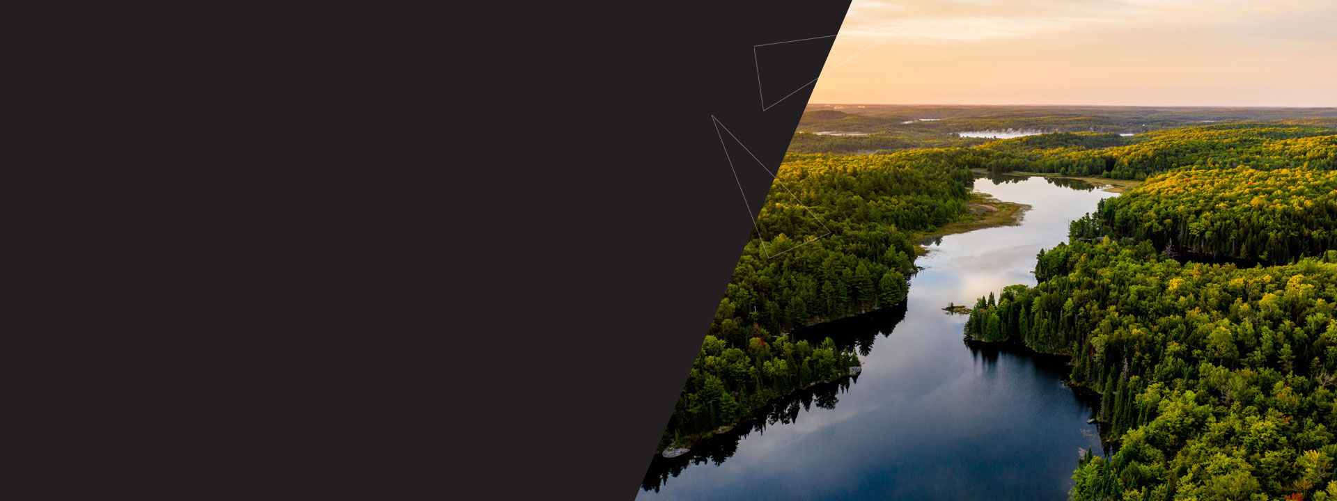 Fleuve et for&ecirc;t