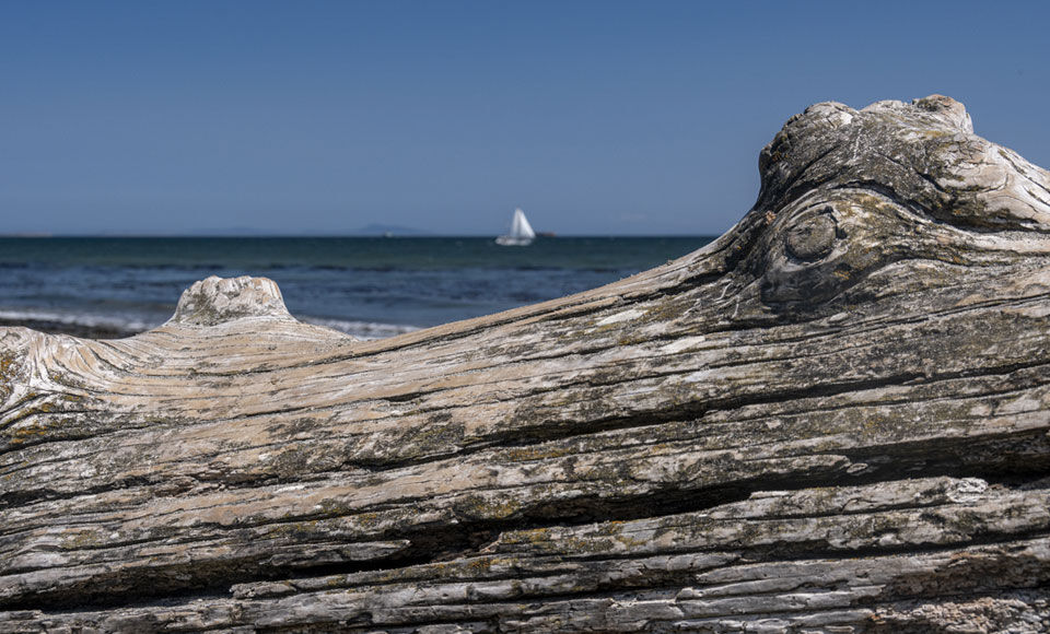 tronc sur plage - Optimiser votre fiscalit&eacute;