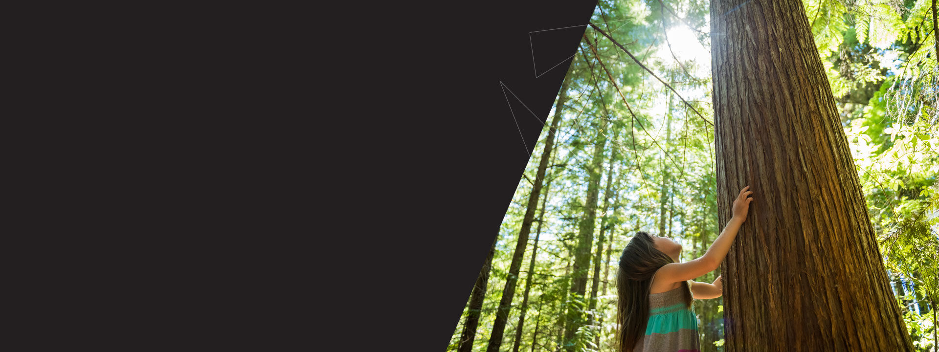 petite fille qui entoure un arbre avec ses bras dans une forêt