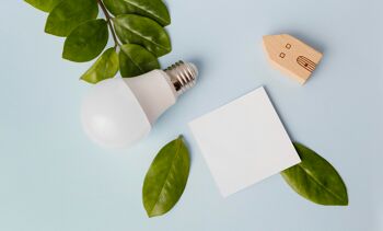 Ampoule, feuilles, maison en bois