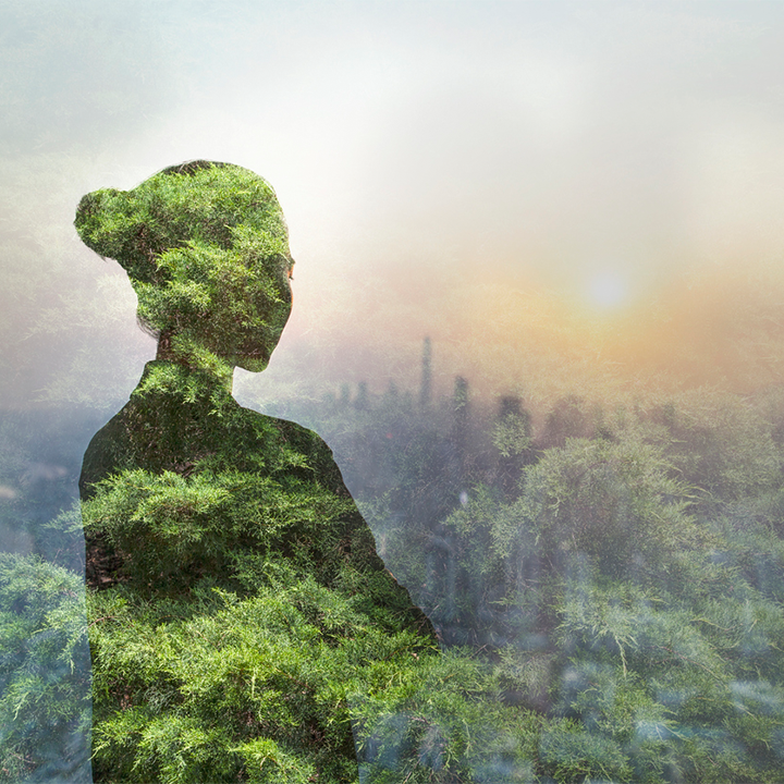 Foret meditation
