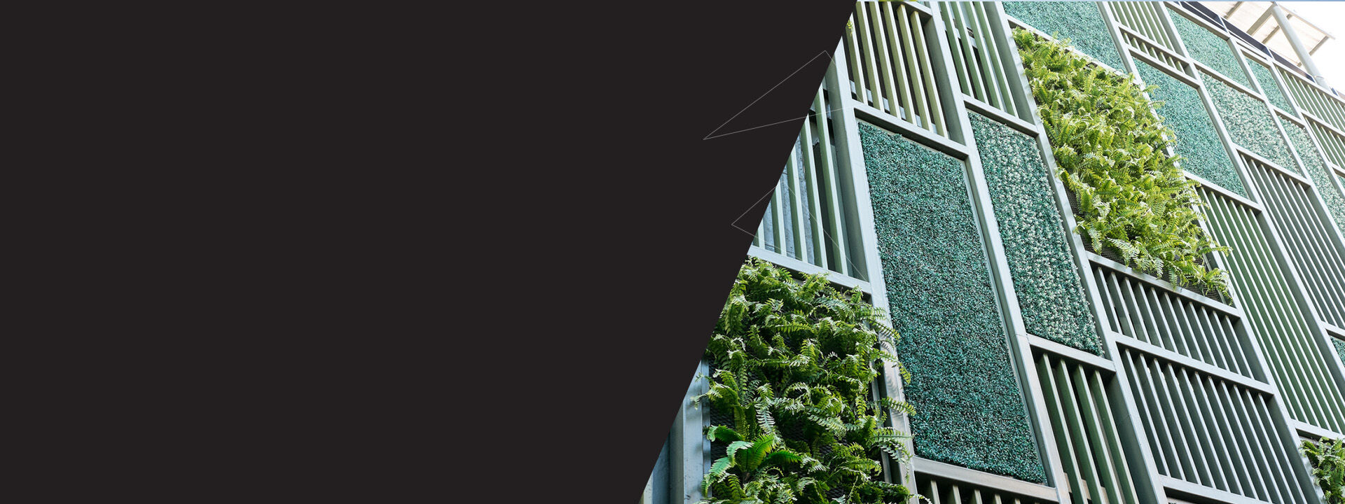 Mur Plantes &eacute;cologie CATVair