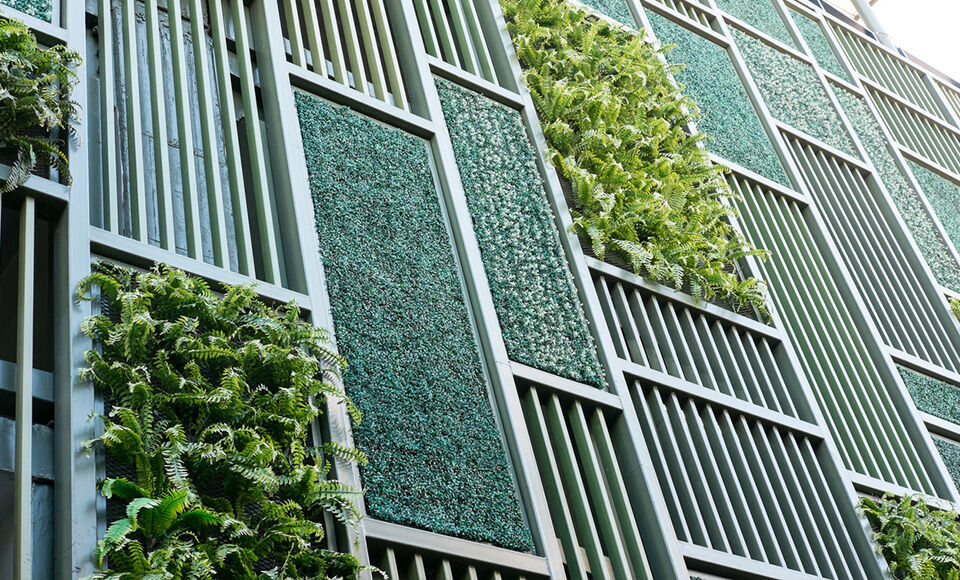 Mur Plantes &eacute;cologie CATVair