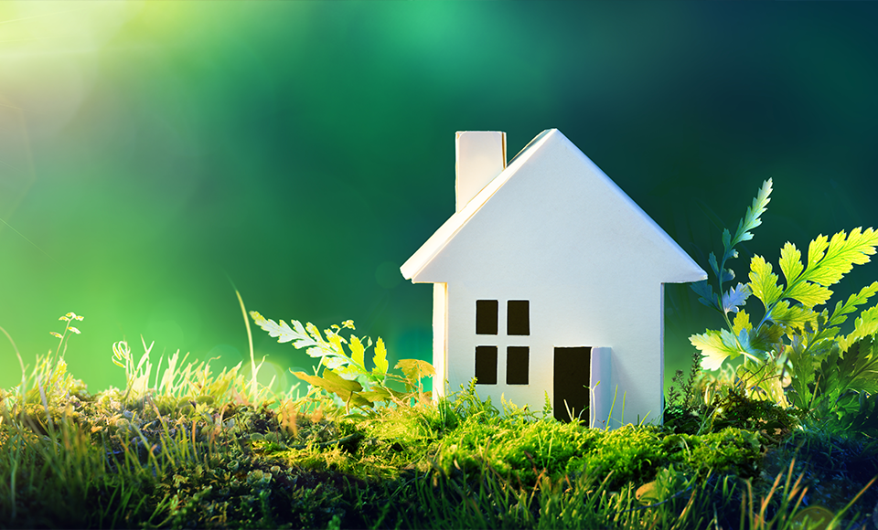 cozynergy maison ecologique