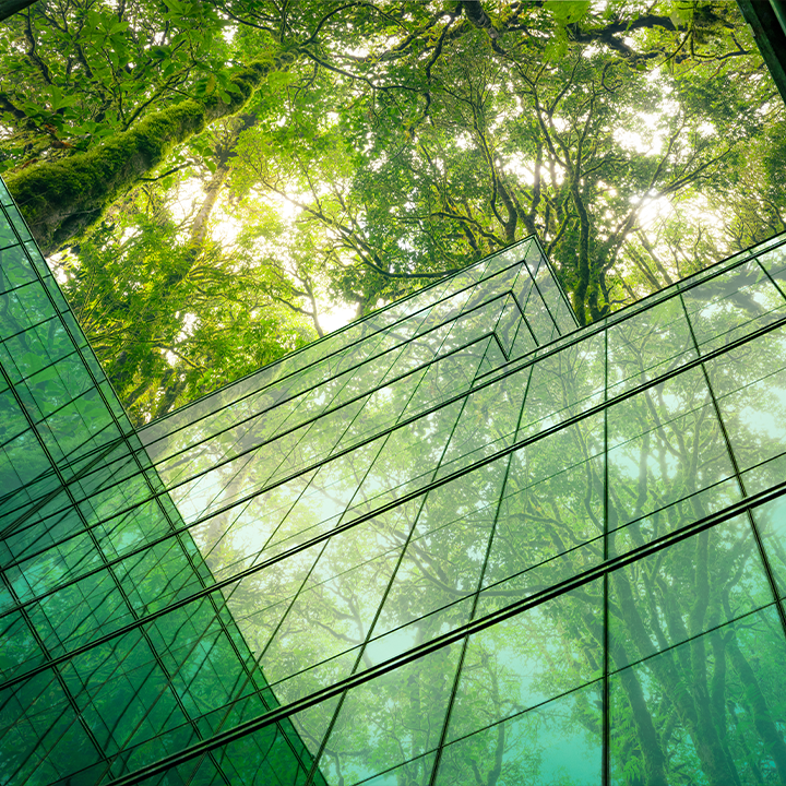 batiment en verre et arbres verts