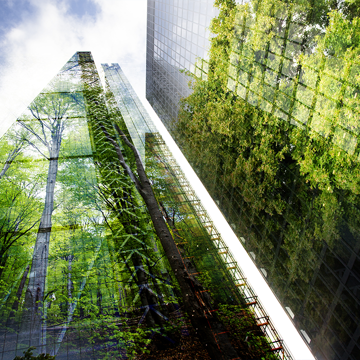 grandes b&acirc;timents avec des arbres dans leurs reflets
