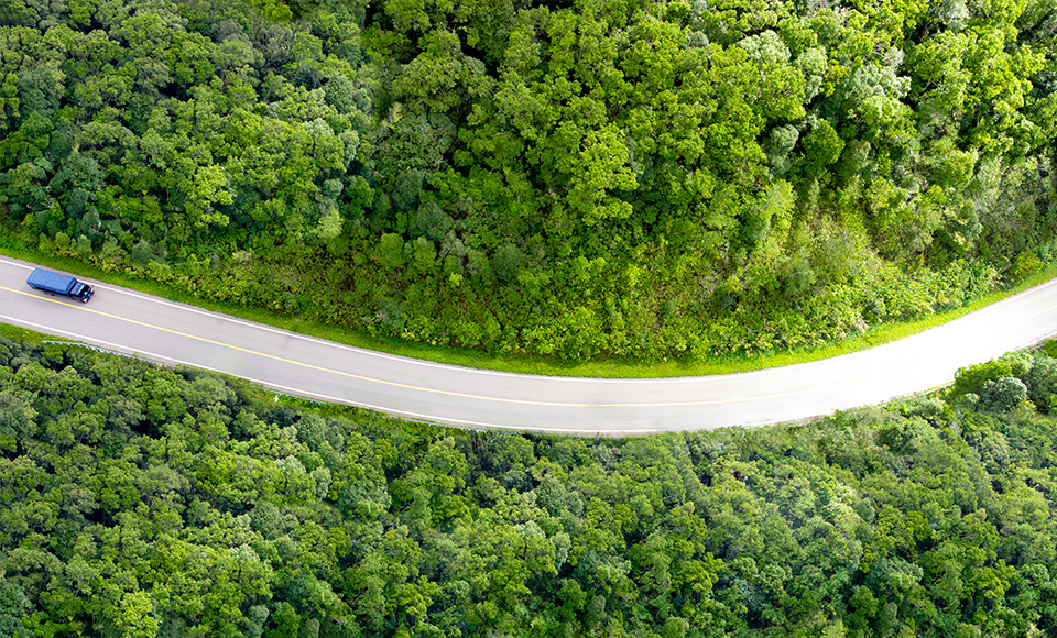route en foret vue de haut