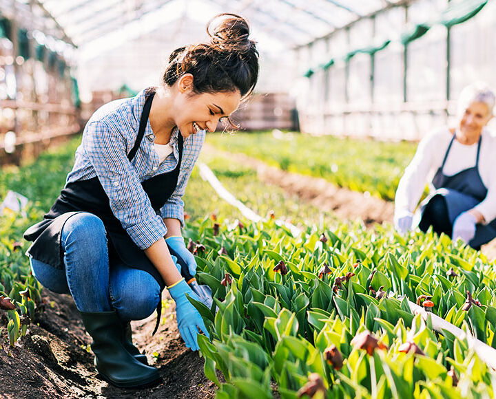 champ agriculteur exploitation agricole
