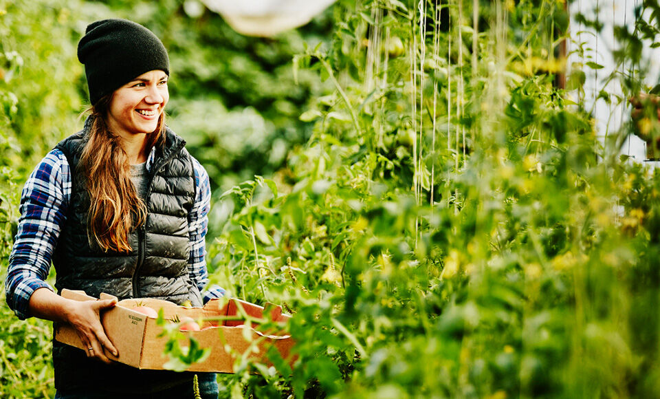 femme agriculture vigne exploitation agricole