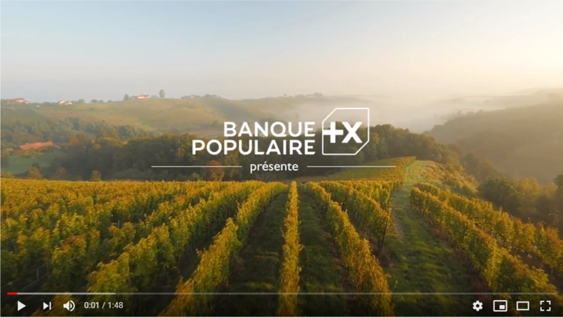 champ agriculture exploitation agricole