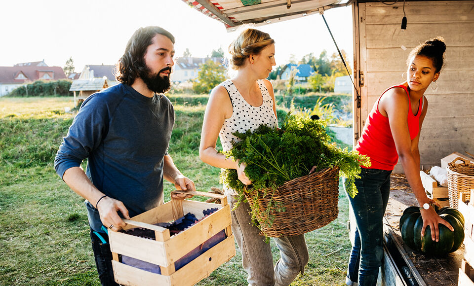 agriculture homme femme légume