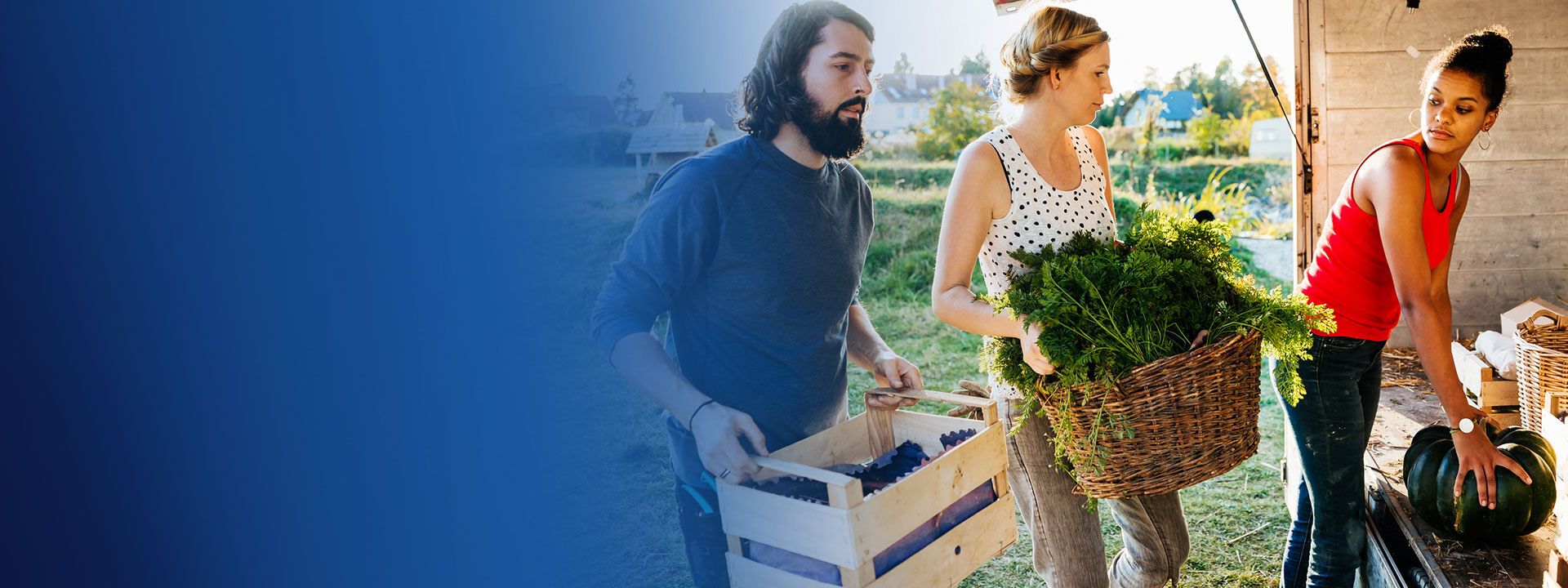 agriculture homme femme légume