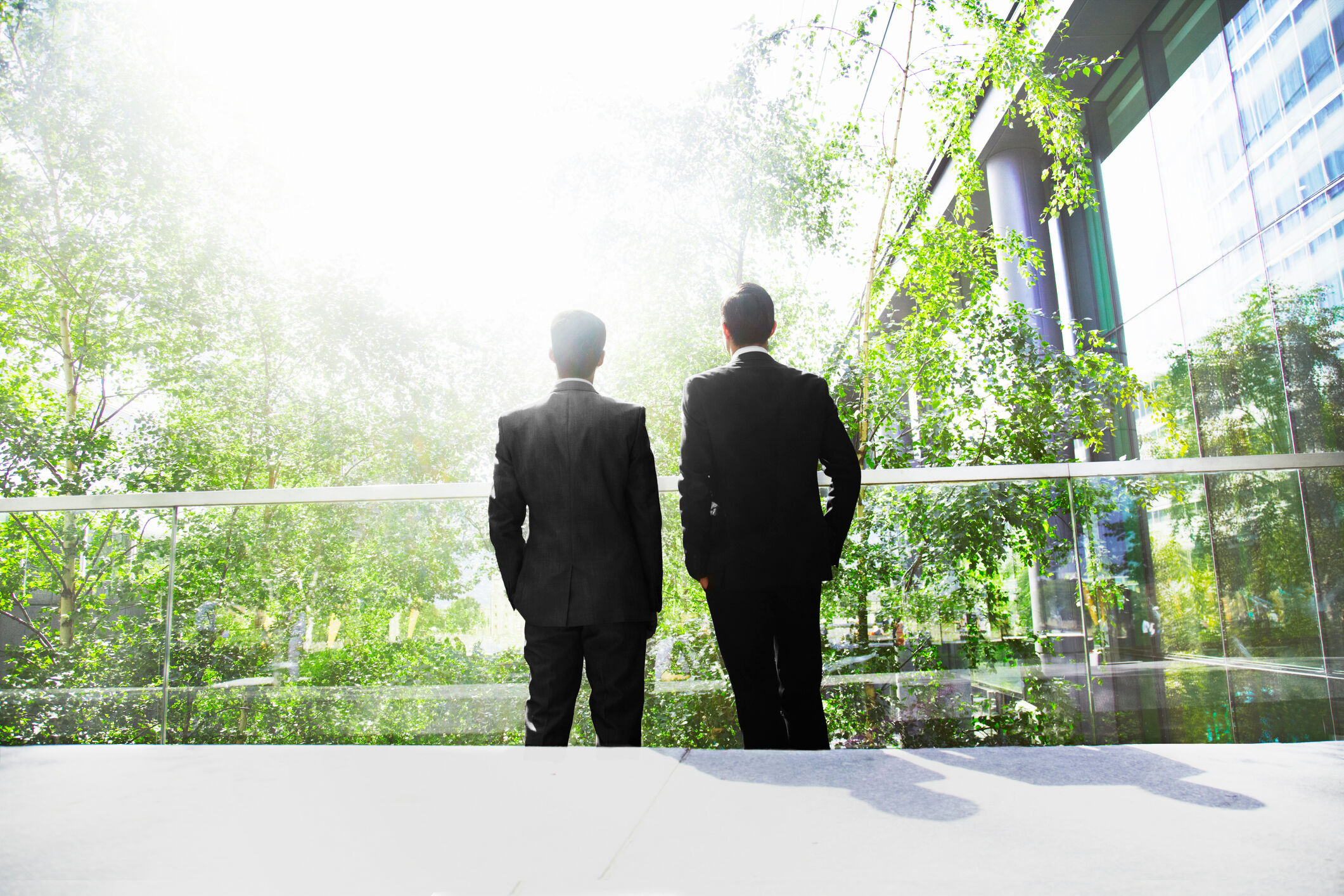 hommes salari&eacute;s bureau arbres