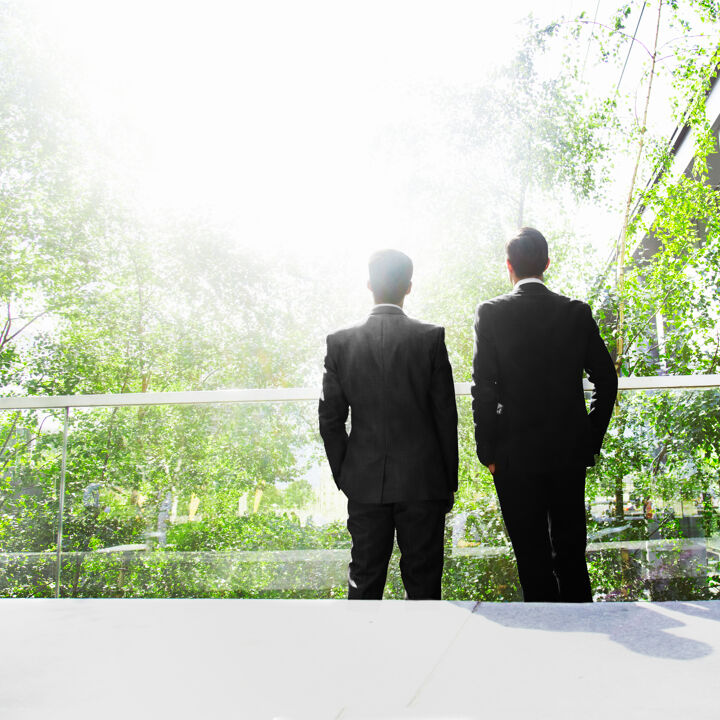 hommes salariés bureau arbres