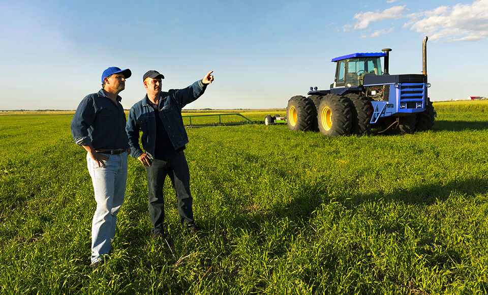 agriculteurs tracteur champ exploitation agricole