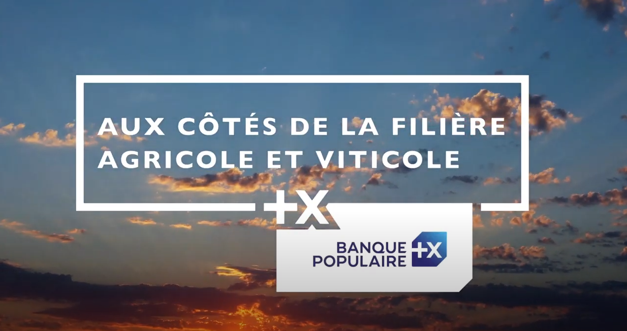 agriculteurs viticulteurs video