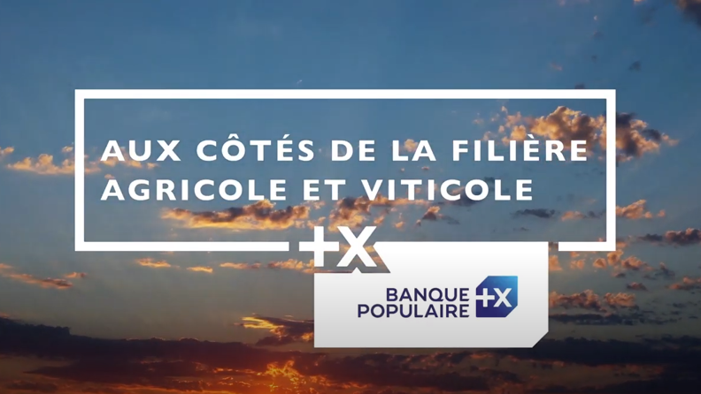 agriculteurs viticulteurs video