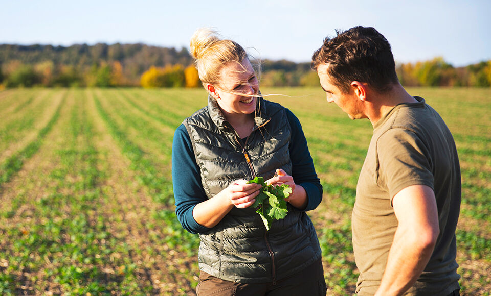 femme souriant et homme agriculteurs discutant dans un champs