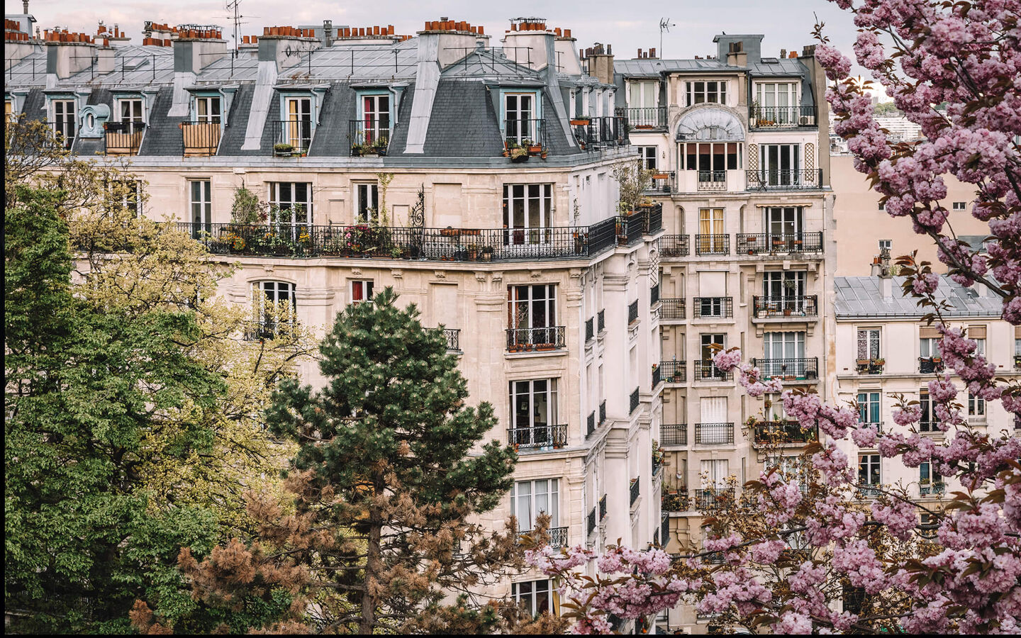 investissement locatif meuble immeuble parisien