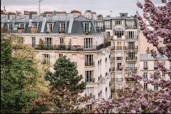 investissement locatif meuble immeuble parisien