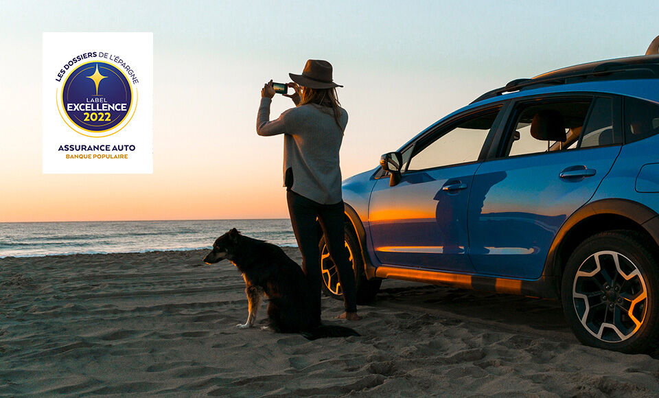 femme chien voiture plage